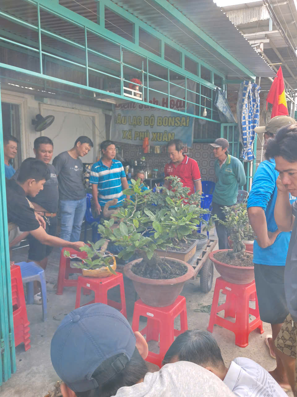 Thành lập Câu lạc bộ “ BonSai xã Phú Xuân”