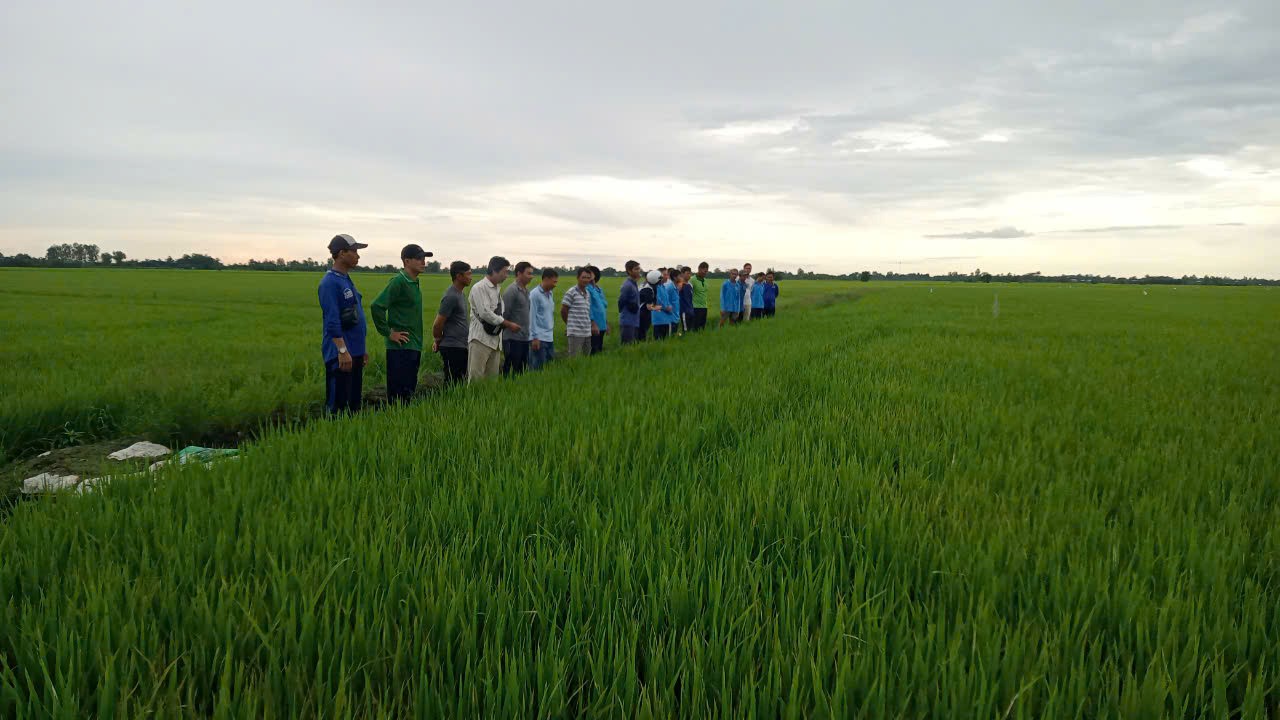Phú Tân tập huấn đề án phát triển bền vững một triệu hécta chuyên canh lúa chất lượng cao tại xã Hoà Lạc